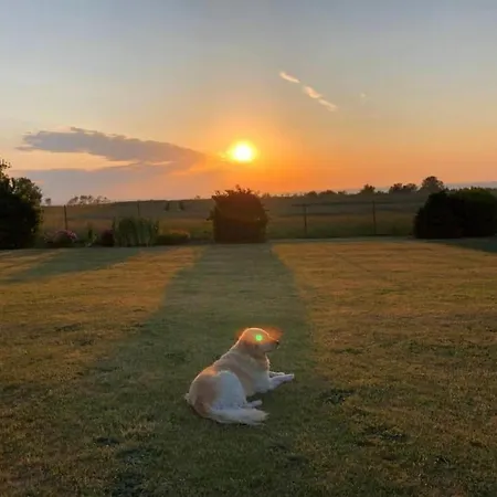 Küstenhaus Mittel Rerik